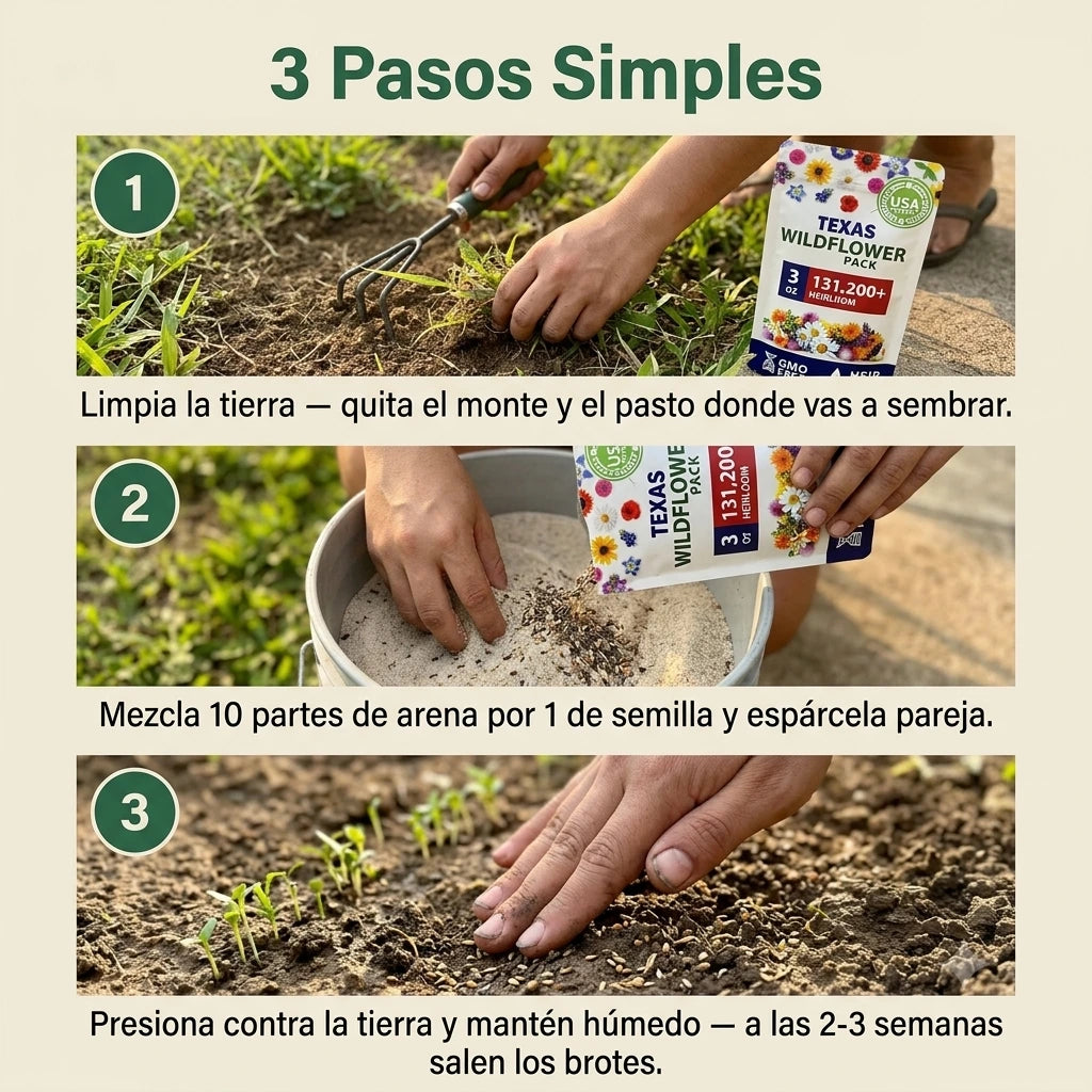 Milflores™ Colección de semillas de flores silvestres americanas raras (22 variedades)
