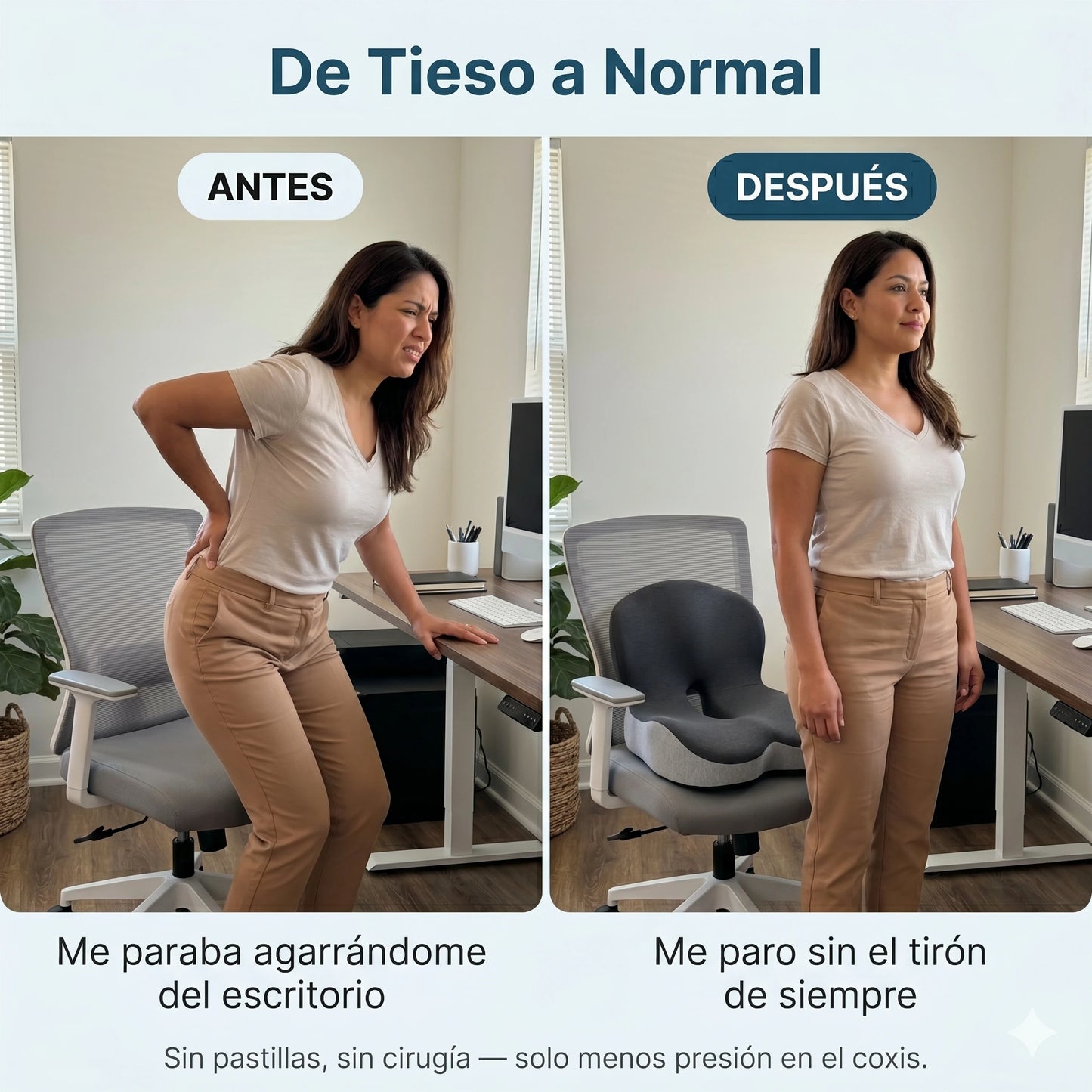 AeroSit™ - Cojín Ortopédico para Dolor de Coxis