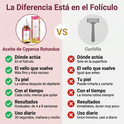 Aceite de Cyperus Rotundus Original